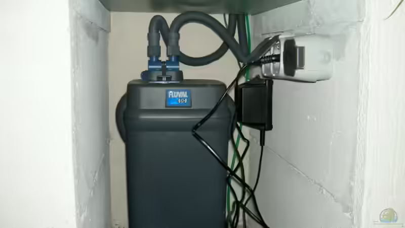 Fluval 404 von Thorsten Peetz (7)