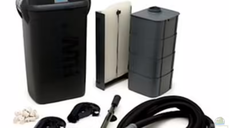 Fluval 405 als Hauptfilter   von Chimbwe (12)