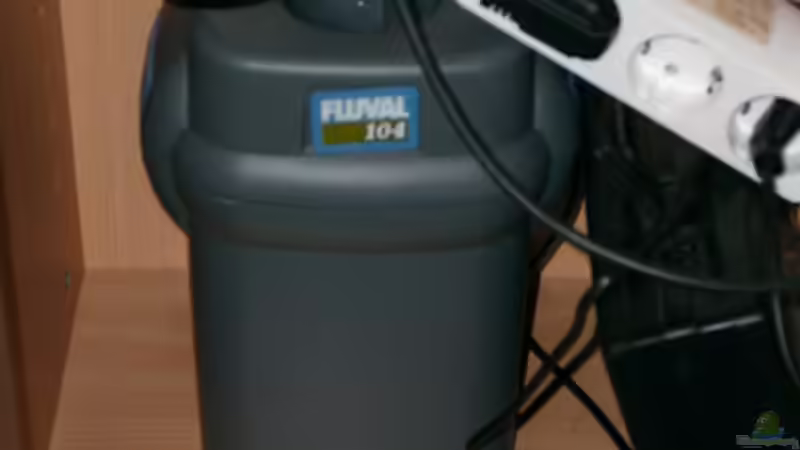 Fluval Außenfilter von Alexandra Bijok (6)