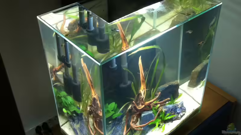 Fluval Edge 2 von flightsim (2)