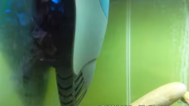 Fluval Elite von Cichlidenfan (3)