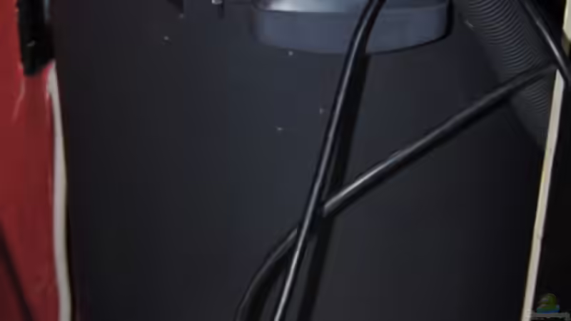 Fluval FX-5 ( ein super Teil) von Manni (7)