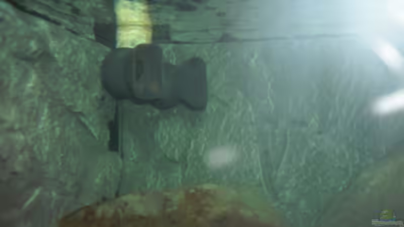 Fluval FX 5 Auslass von Vision (13)