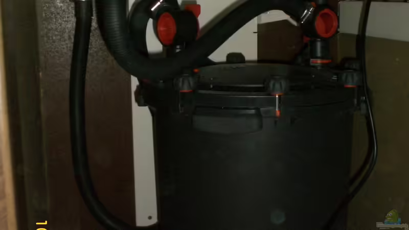Fluval FX5 in Betrieb von Thomas Dietrich (14)