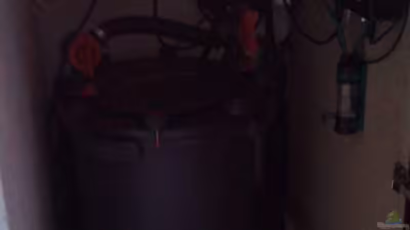 Fluval FX5 von Blue2 (19)