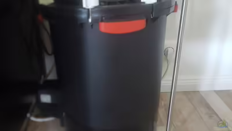 Fluval Fx6  von Kevin Fruhen (5)