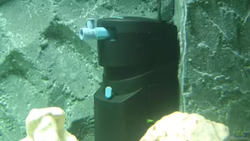 Fluval Innenfilter von Jens Schneider (14)