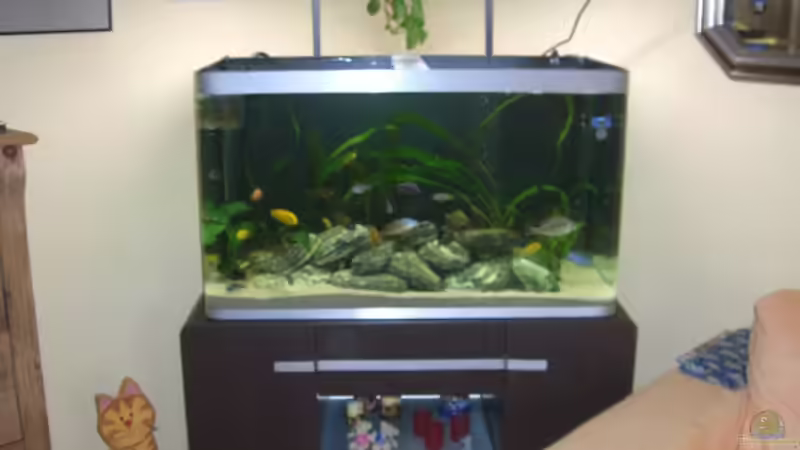 Fluval Osaka von Marco Röhrig (1)