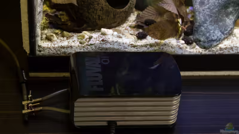 Fluval Q1 mit Drossel von GoreSlayer (16)