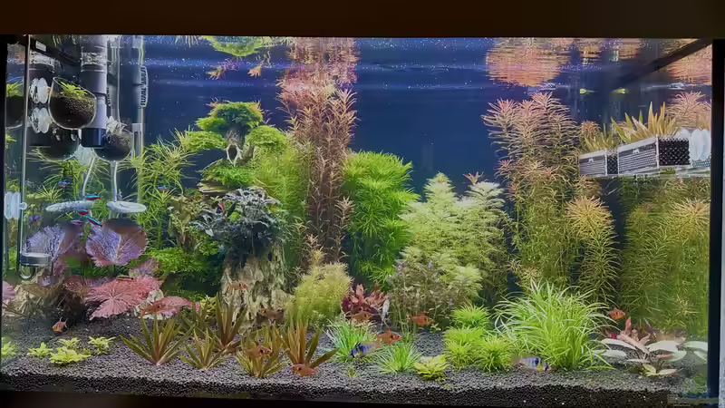 Fluval Siera 275