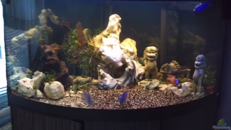 FLuval VENEZIA 350L. von Michael Kreutz (1)