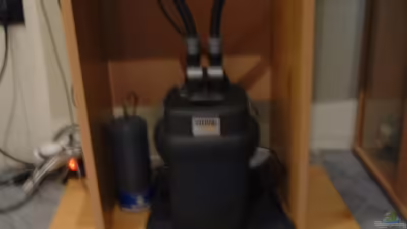 Fluvall 105  von Ingeborg Bohry (14)