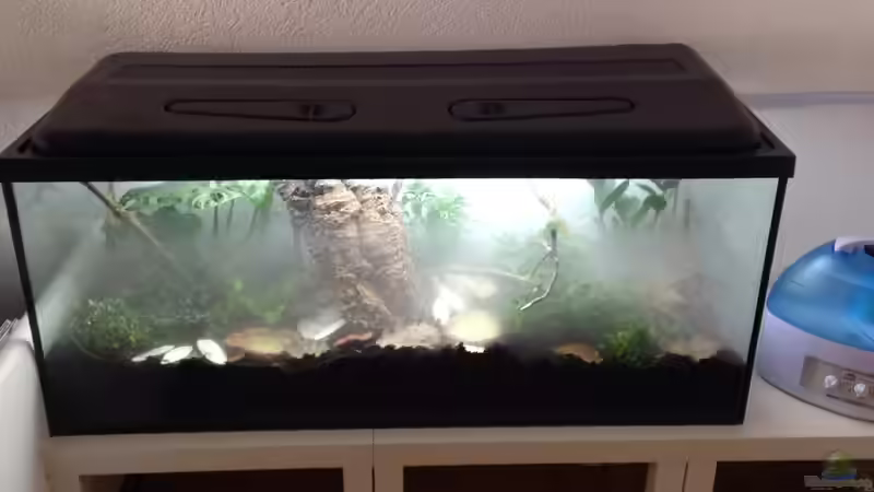 Fogger in Betrieb von Jessman (3)