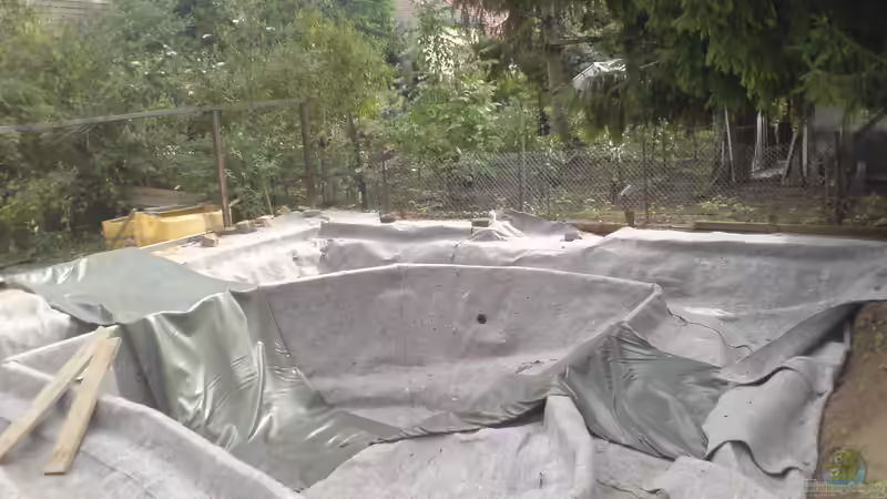 Folienteich oder Kunststoffteich - Vorteile und Nachteile