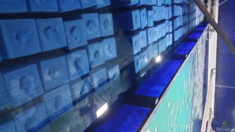 Format geht leider nicht anders  von Fido86 (4)