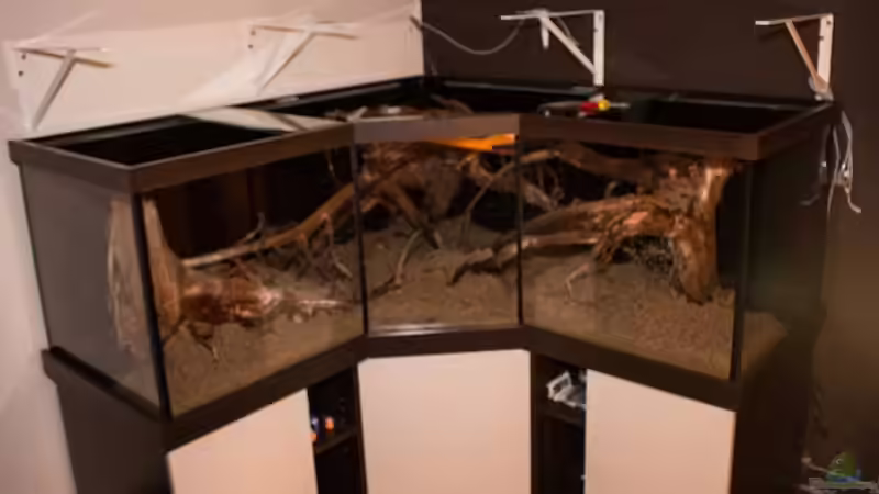 Forntansicht (leider nicht so scharf das Bild) mit Bodengrund .. von AjakAndi (10)