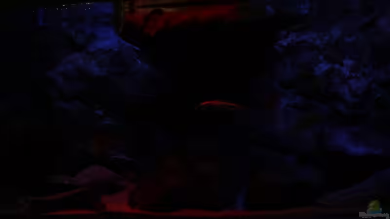 fortgeschrittener Sonnenuntergang von Michael Reiz (19)