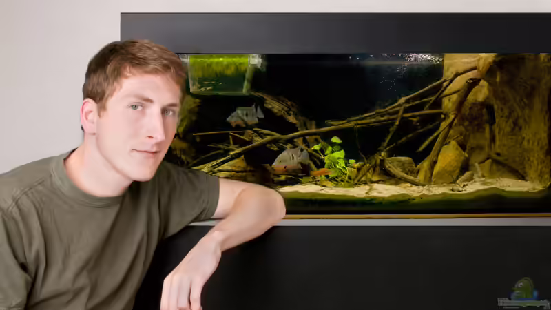 Foto by www.facebook.com/AufmDachFotografie