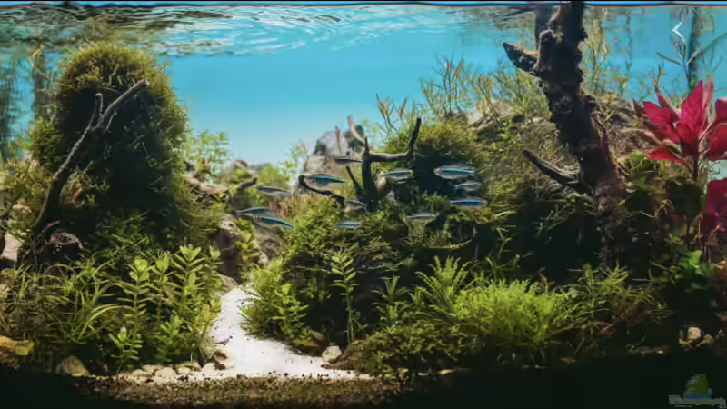 Foto mit tieferem Wasserstand  von chu2k8 (2)