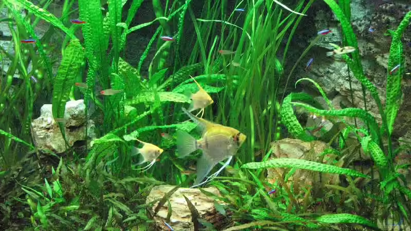 Foto vom 17.10.2009 von Bämbel (15)