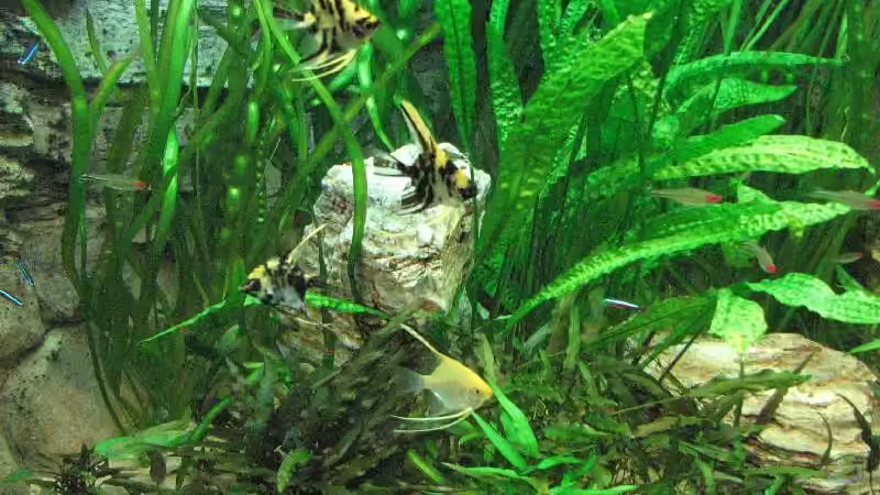 Foto vom 17.10.2009 von Bämbel (16)