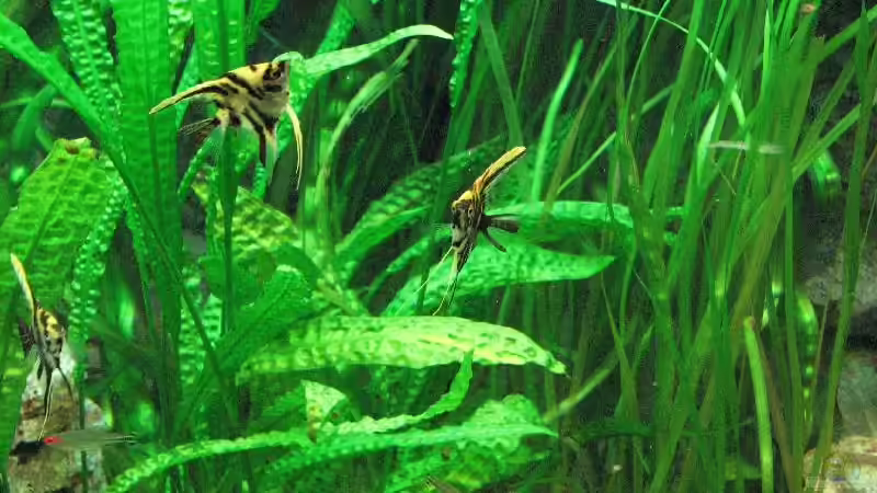 Foto vom 17.10.2009 von Bämbel (19)