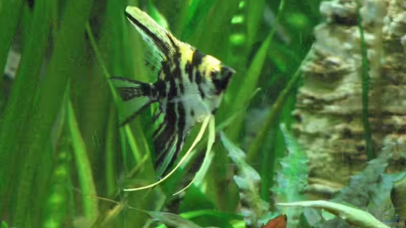 Foto vom 17.10.2009 von Bämbel (47)