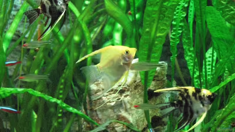 Foto vom 17.10.2009 von Bämbel (48)