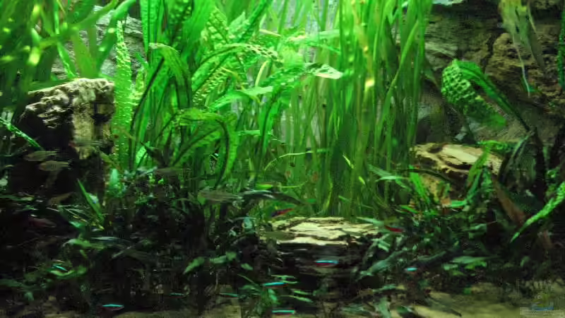 Foto vom 20.09.2009 von Bämbel (13)