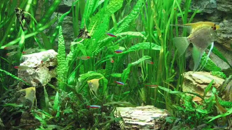 Foto vom 20.09.2009 von Bämbel (2)