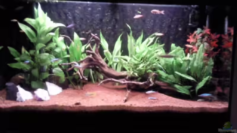 Foto von Oktober von Diana Bach (2)