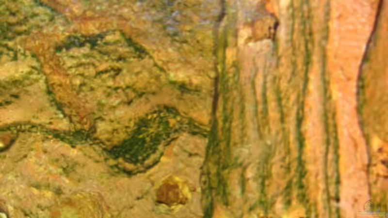 Foto wurde mit Blitzlicht Geschossen. Ausversehen!   von Dennis V12 (16)