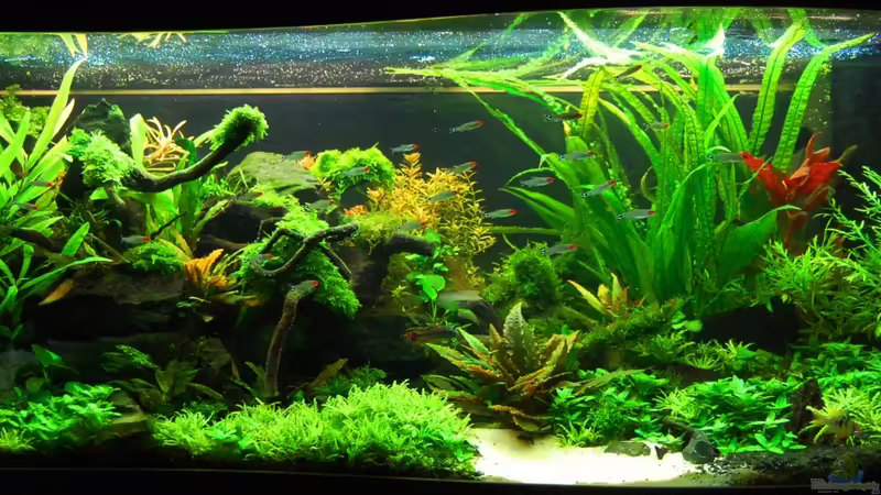 Fotodatum 25-10-2012