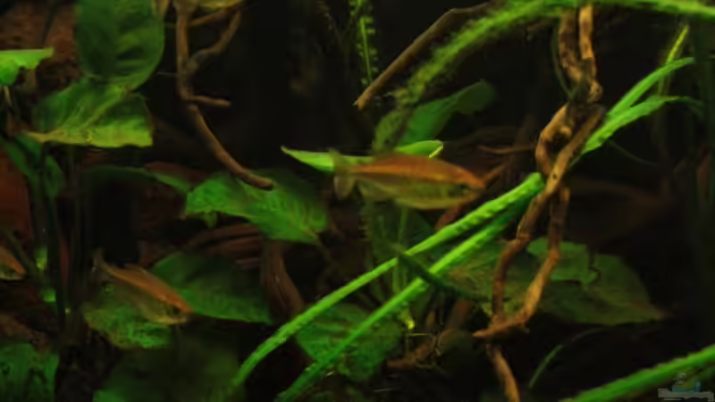 Fotografie in einer Hochkant Perspektive zeigt sehr schön die linke Beckenseite. von Bämbel (18)