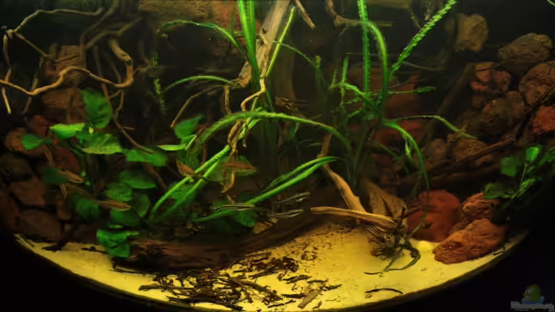 Fotografie von oben nach unten frontal ins Becken rein. von Bämbel (10)