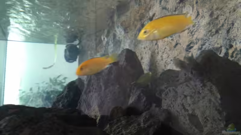 Fotos wirken heller als in Wirklichkeit  von der Steirer (95)