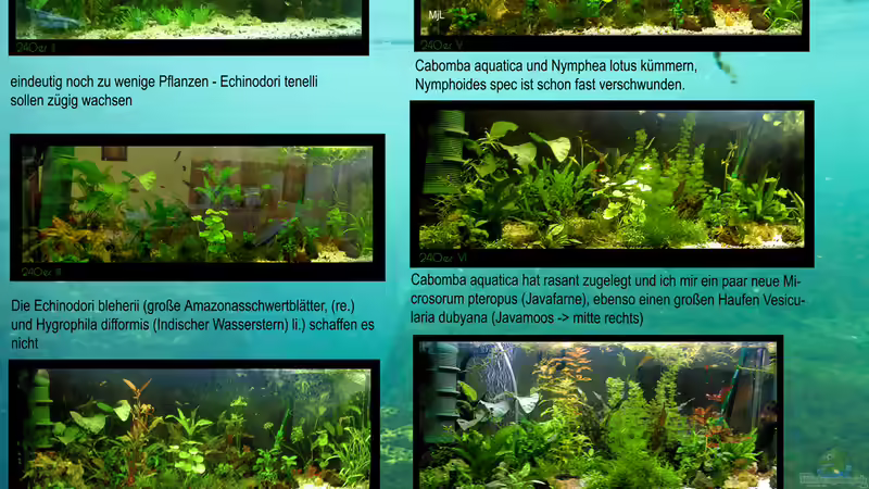 Fotostory des Beckens von mariajudyta (2)