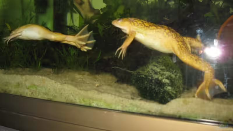 Fred & Renaldine von Jenny (31)