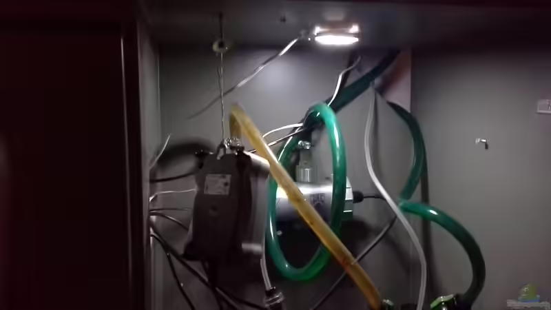 freischwingend gelagerte luftpumpe von Dominik Wexenberger (25)