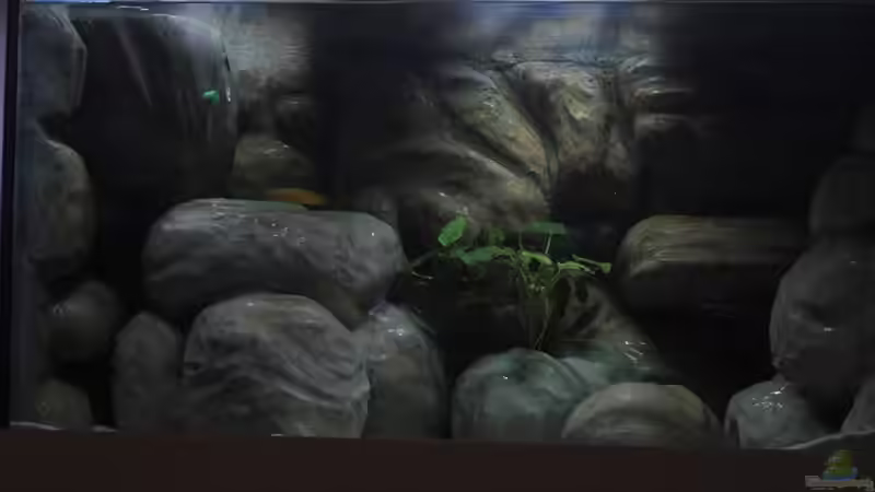 freistehendes Gebirge links von Malawi TOM (20)