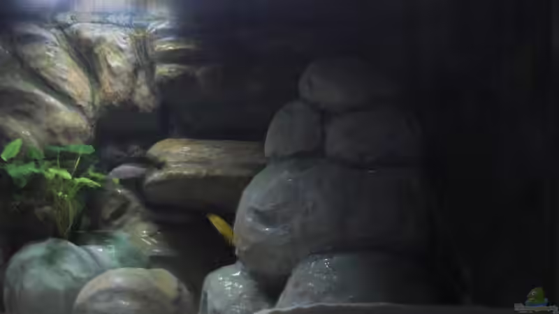 freistehendes Gebirge rechts von Malawi TOM (21)