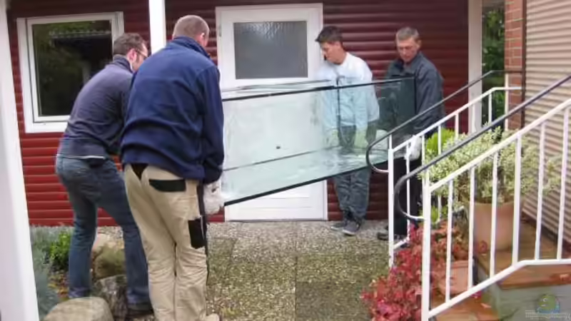 Freunde muss man haben I von Oeli (8)