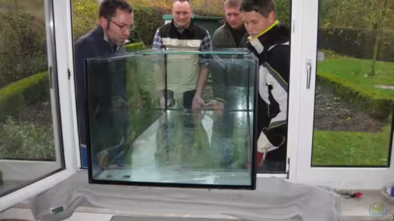 Freunde muss man haben II von Oeli (9)