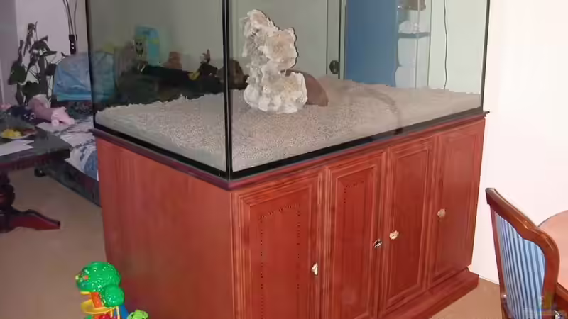 Frisch aufgestellt von Lars Joergens (2)