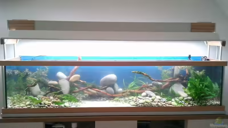 Frisch befüllt und dekoriert von bergfrau (4)