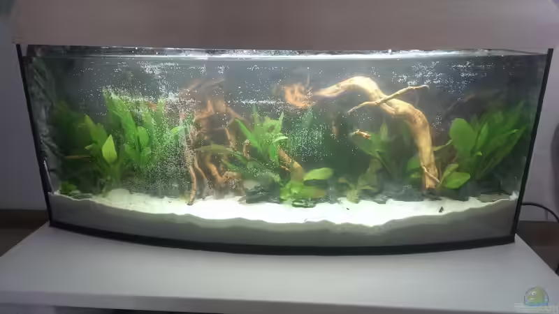 frisch befüllt von Harry Nemitz (10)