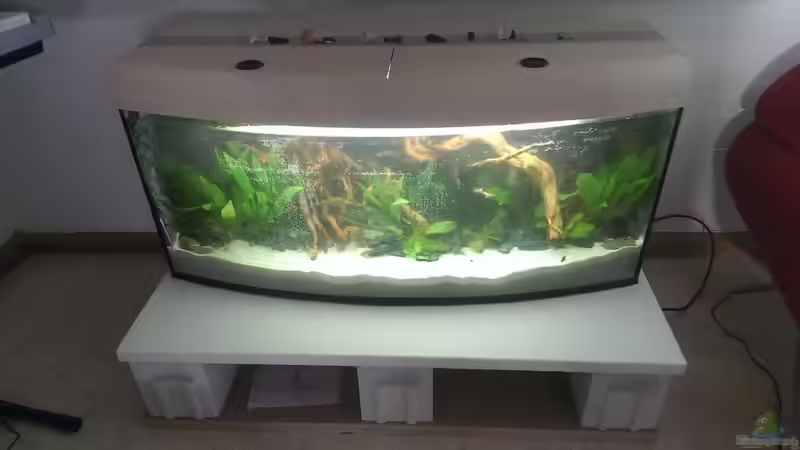 frisch befüllt von Harry Nemitz (4)