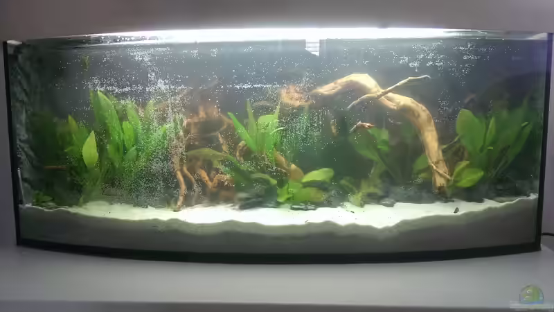 frisch befüllt von Harry Nemitz (5)