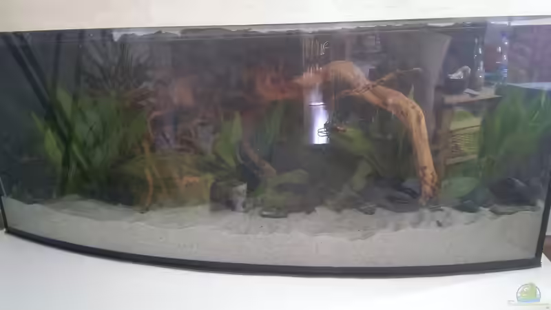 frisch befüllt von Harry Nemitz (8)