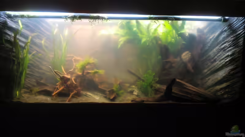 Frisch befüllt von Thorsten G. (3)